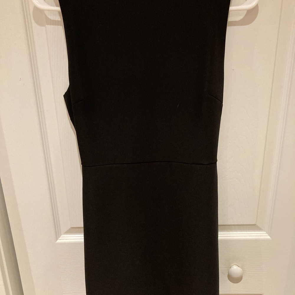 Babaton Bond Dress